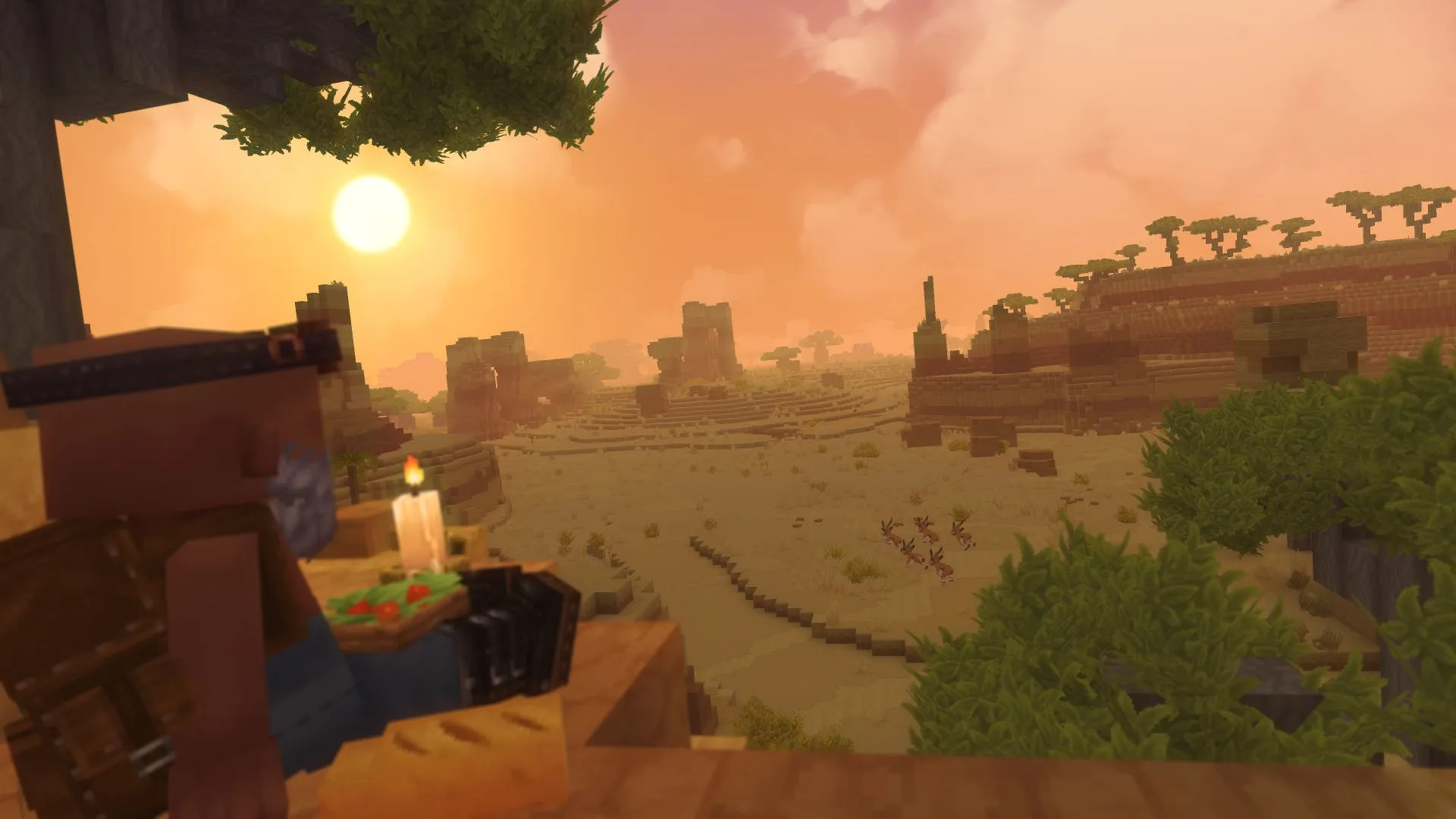 Vista